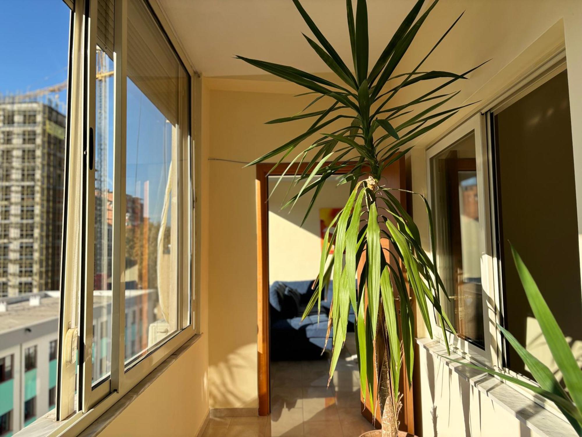 Tam 2Bdr Center Taiwan Apartment Tirana Exterior foto